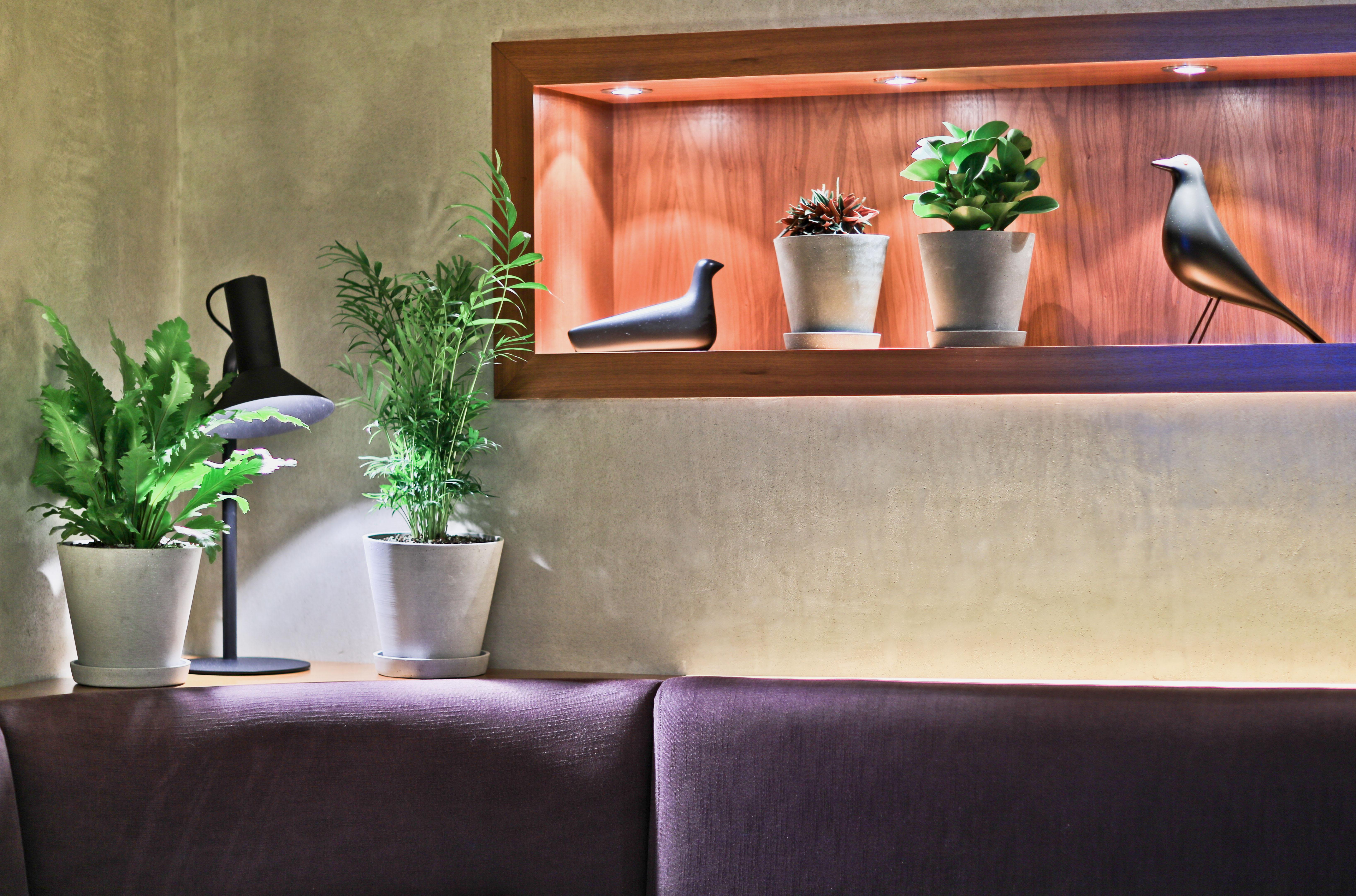 Botanique Hotel Πράγα Εξωτερικό φωτογραφία
